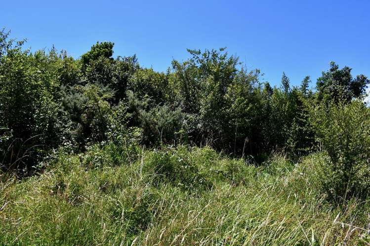 9 Nikau Heights Little Wanganui_9