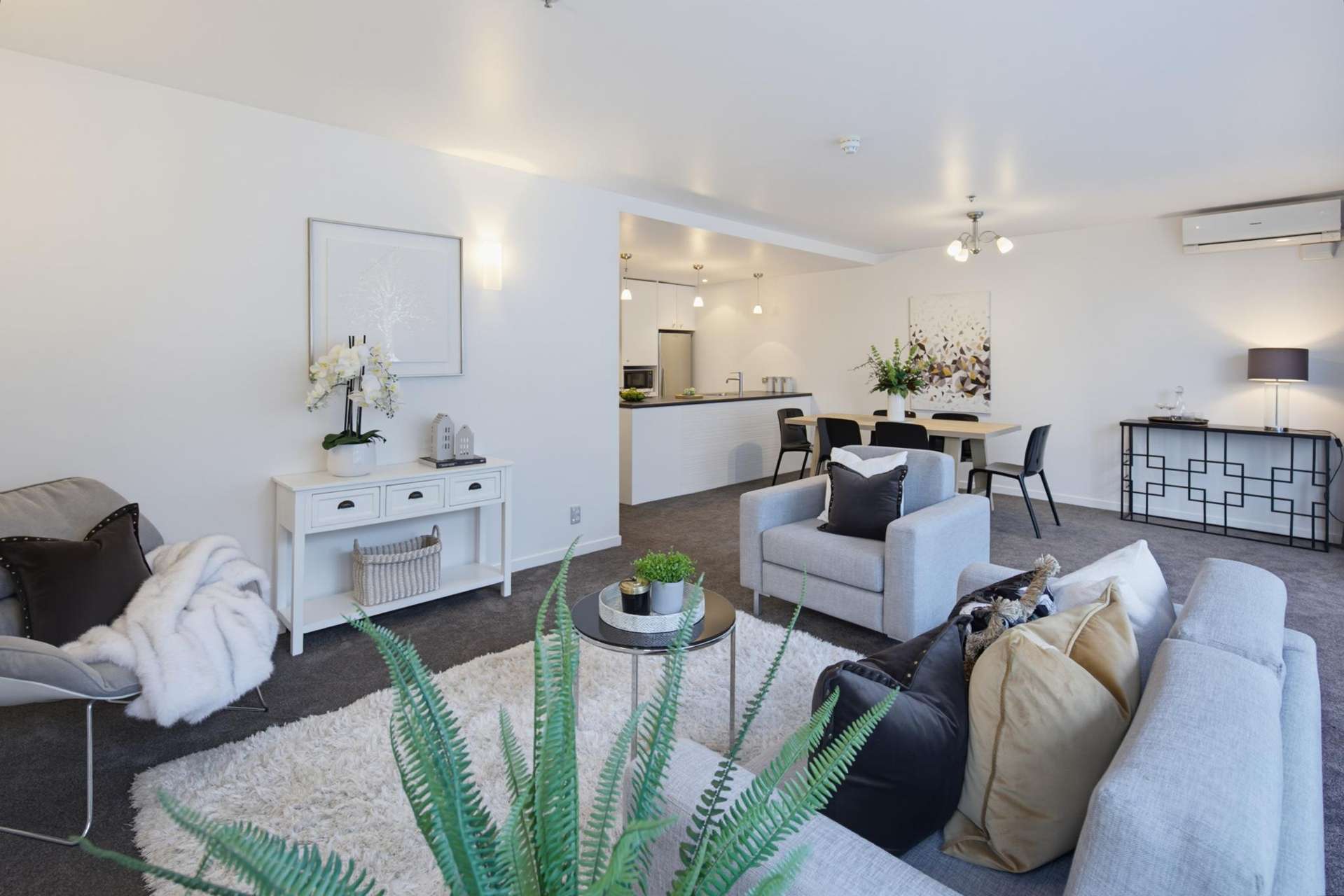 6D/164 The Terrace Wellington Central_0