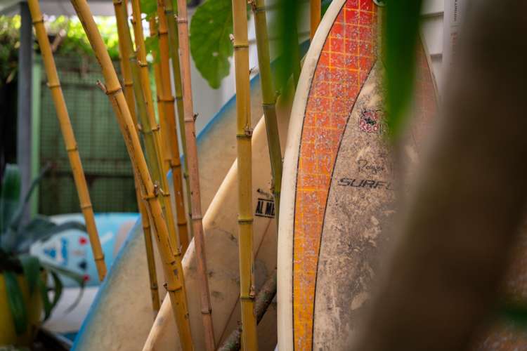 121 Wellington Road Paekakariki_40