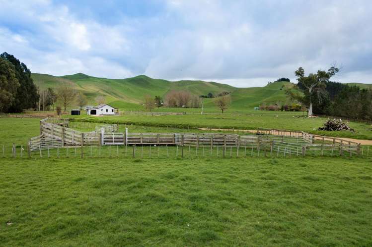 533 Raukawa Road Raukawa_16