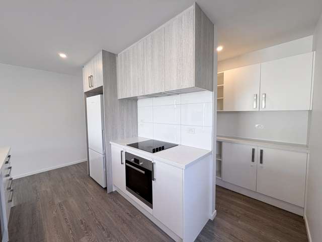 12 Northmoor Boulevard Rolleston_3