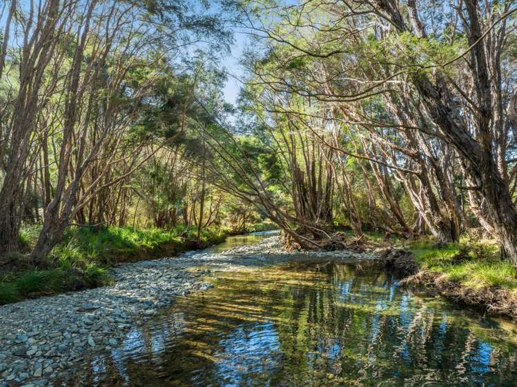 Lots 3 4 5 Nydia Bay Marlborough Sounds_28