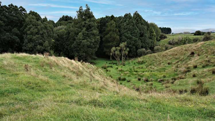 25 Ryland Park Levin_24