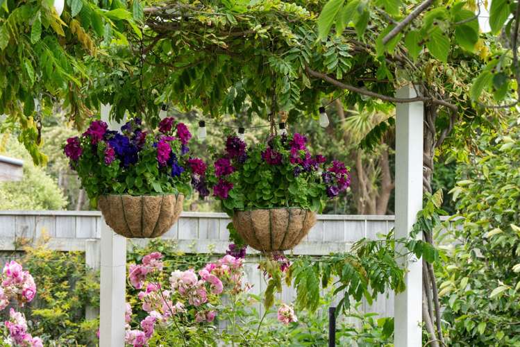 37 Kiharoa Street Otaki Beach_21