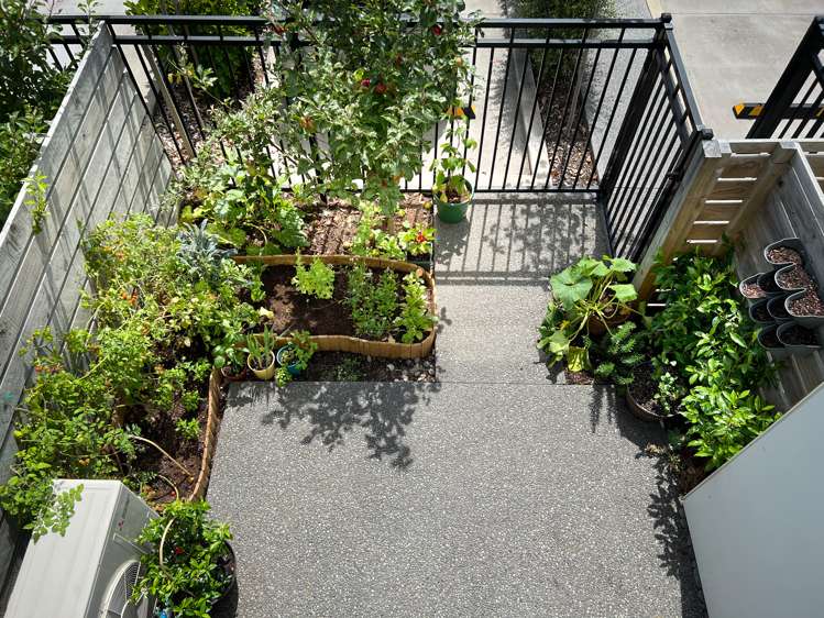 24/10 Rex Street Riccarton_20