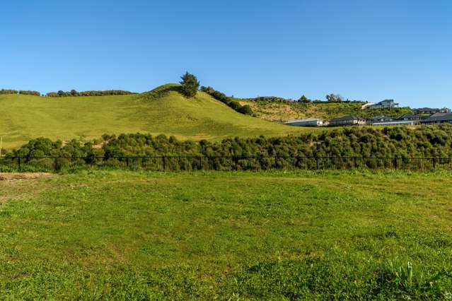 265 Adler Drive Ohauiti_1