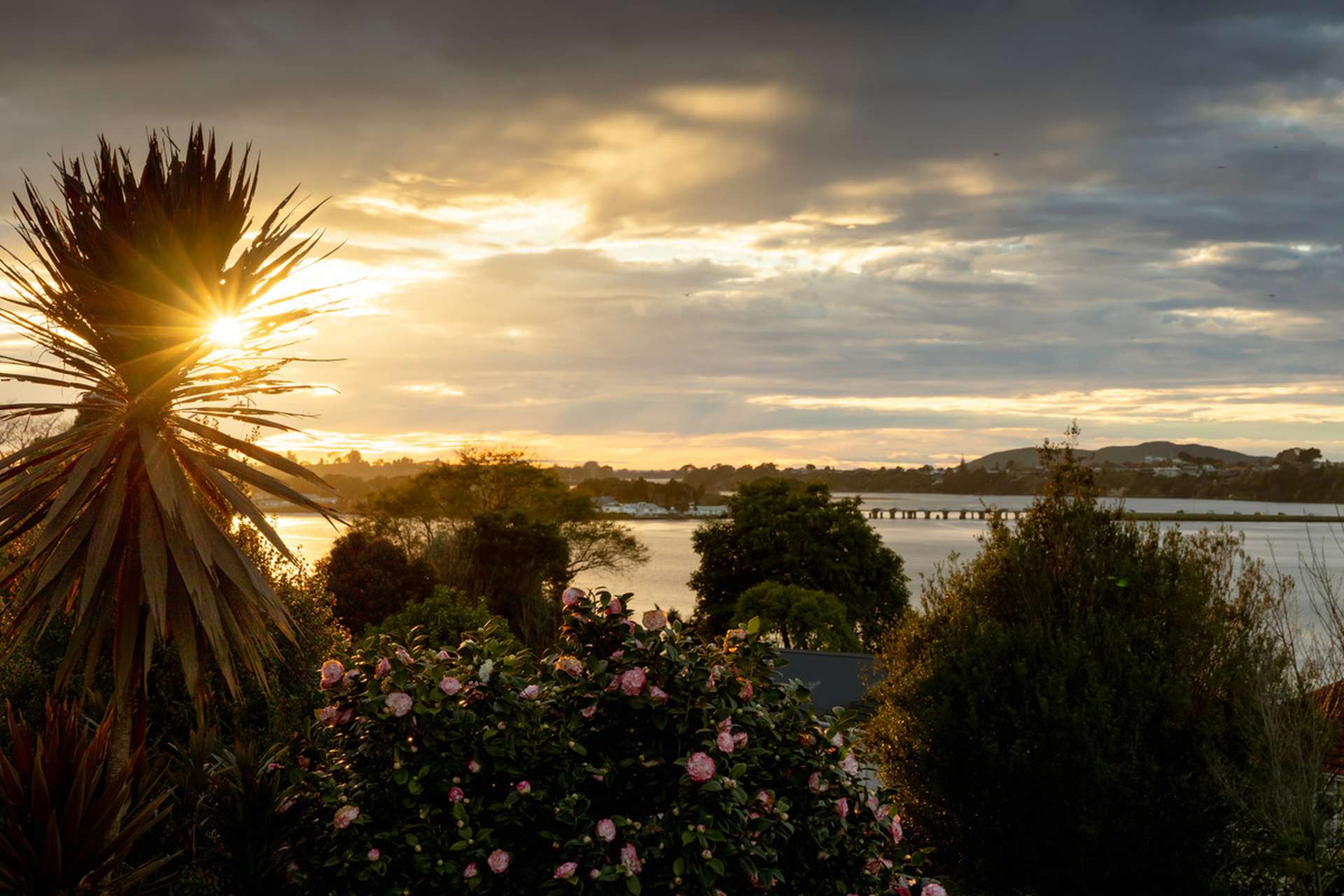 41 Hampton Terrace Parkvale_0