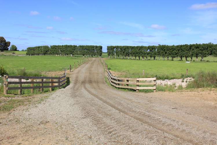 82 Pike Road Winton Surrounds_8