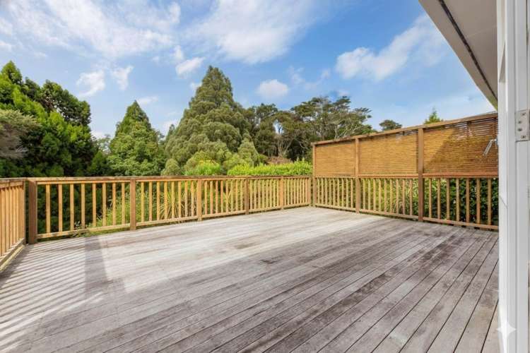 28 South Lynn Road Titirangi_9