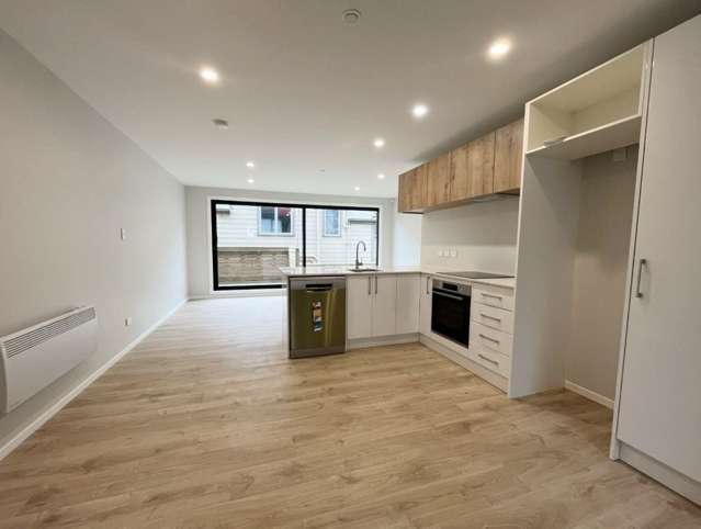 1/64 Owen Street Newtown_1