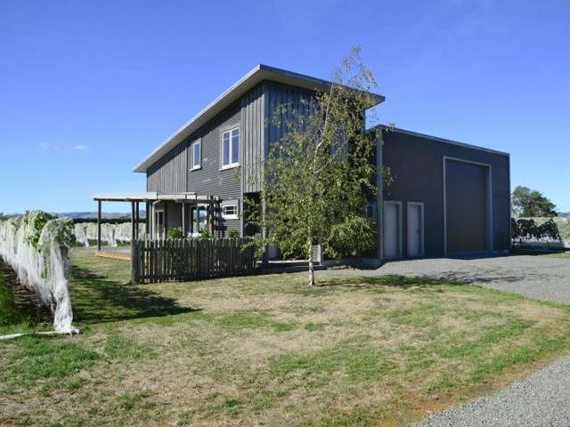 107 Ferry Road Martinborough_4