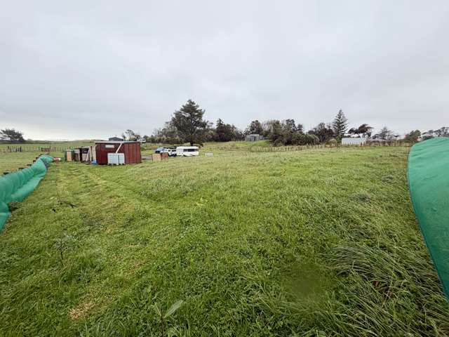 13 Weka Street Te Kiri_1