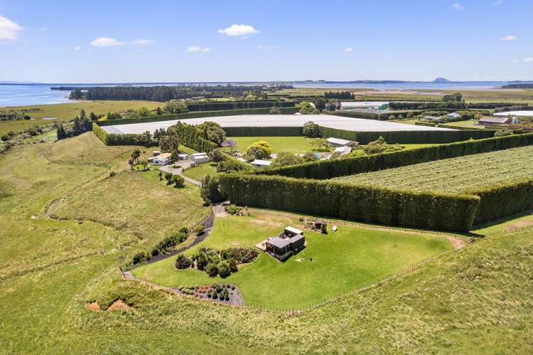 115 Matahui Road Aongatete_14