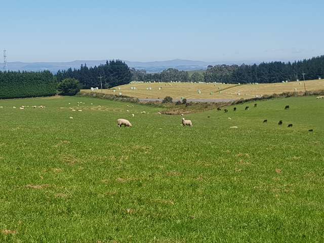 Hillend Road Balclutha_1