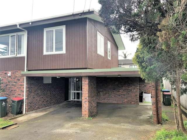 3A Britton Avenue Mt Roskill_1