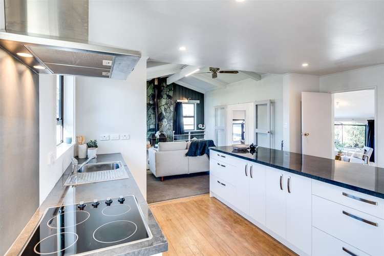 56 Alexander Avenue Onekawa_8