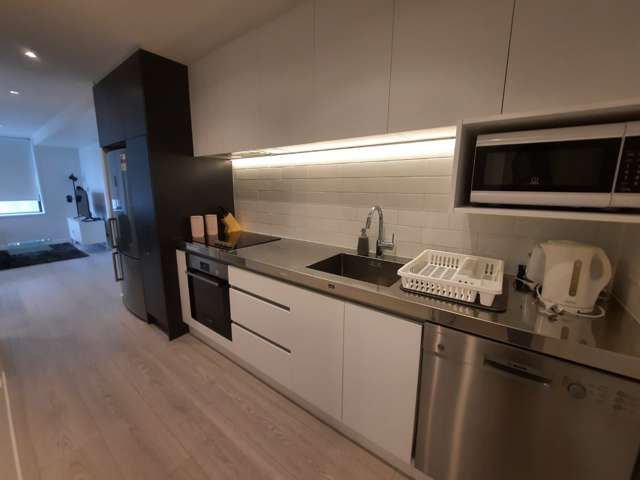 147 Nelson Street 10015_4