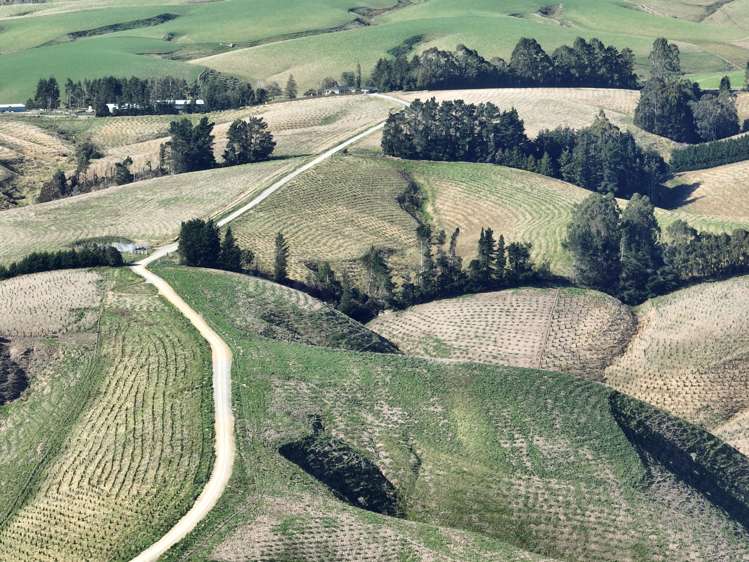 174 McCulloch Road_0