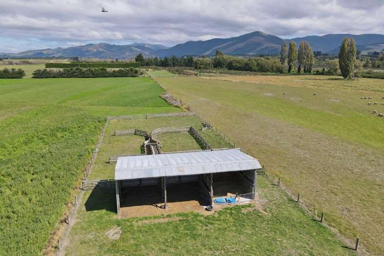 590 Ashley Road Summerhill_14