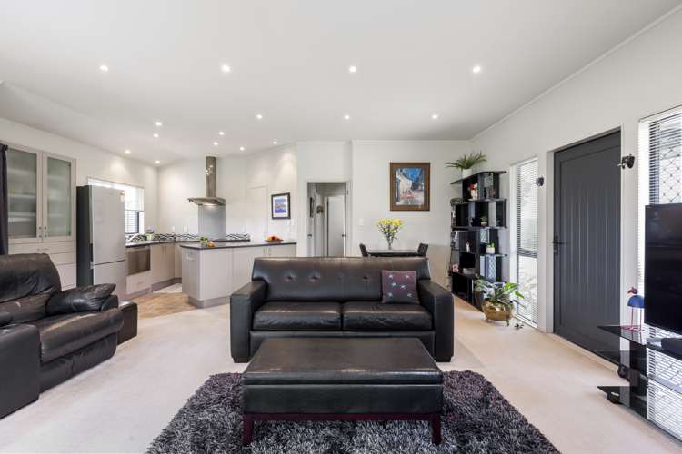 39 Horseshoe Bush Road Dairy Flat_12