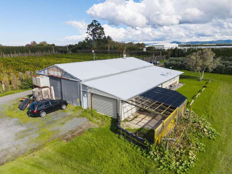 590 Matawai Road Waerengaahika_14