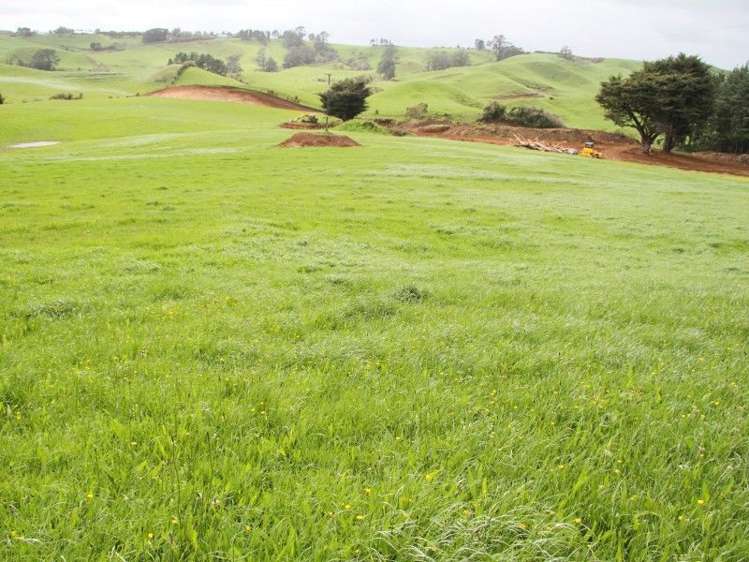 382 Awai Road Tarurutangi_27