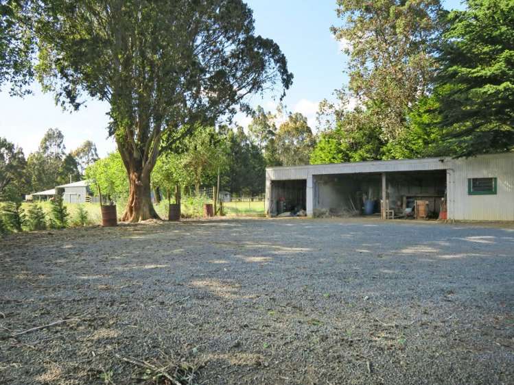 2350 Tahakopa Valley Road Catlins Surrounds_13