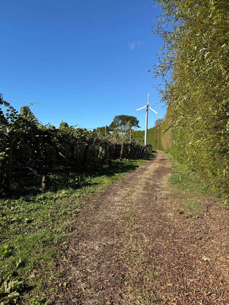 179 Waihi Beach Road Waihi_14