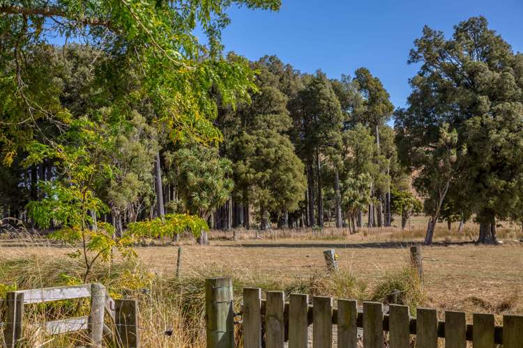 153 Route 52 Ihuraua_22