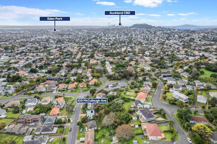 103 Mccullough Avenue Mount Roskill_17