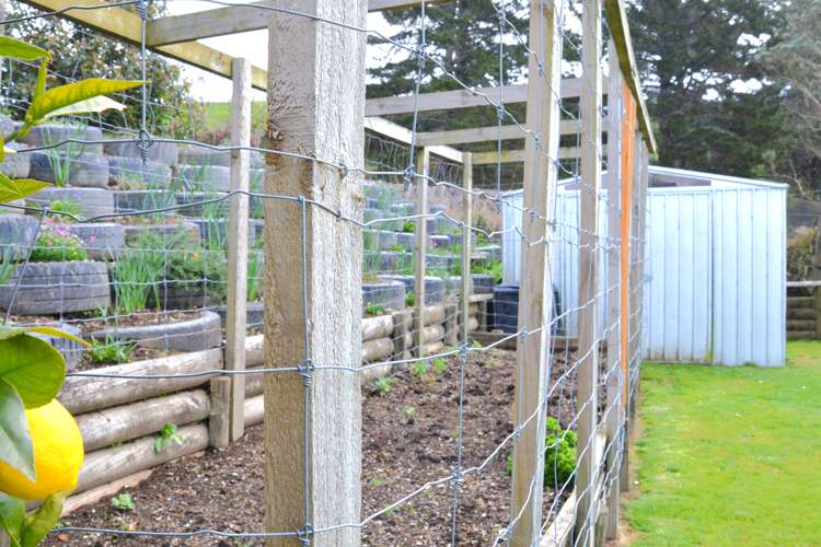 54 Kea Street Piopio_19