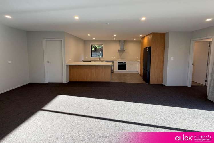 A/7 Christie Street 10254_3