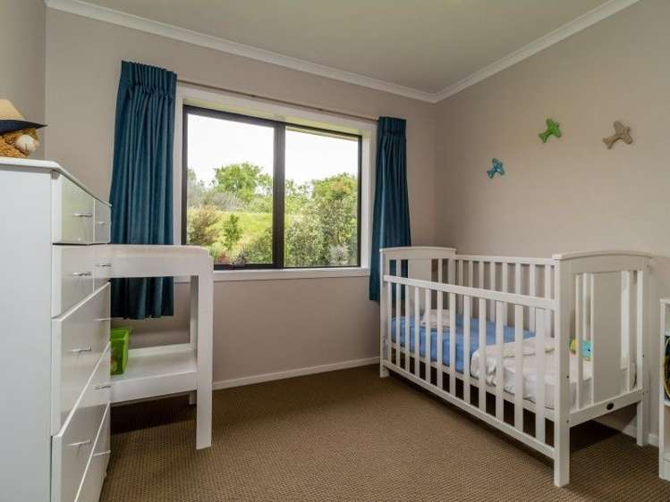 491 Dartmoor Road Puketapu_14