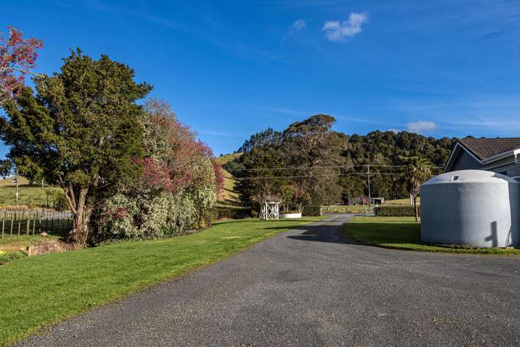 243 Harris Road Glenbervie_30