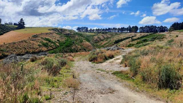 Sunflower Road Balclutha_1