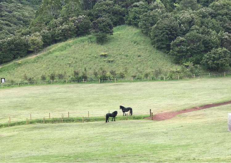 120 Robert Hastie Drive Mangawhai_31