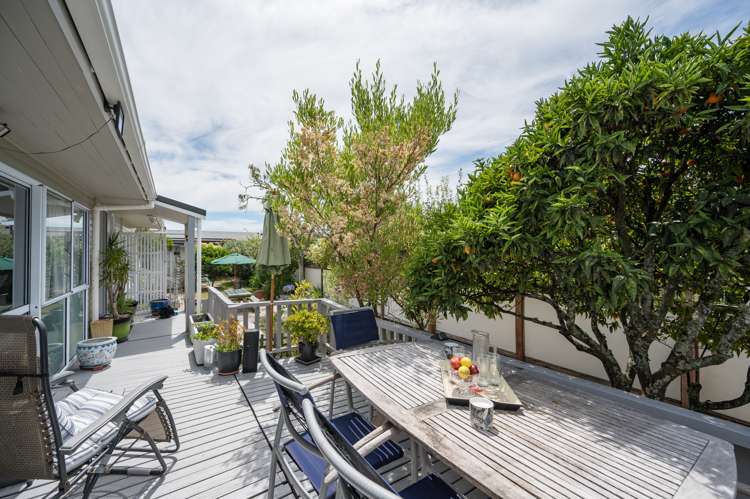 35 Roto Street Tahunanui_19