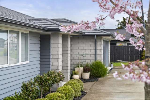 62 Rapana Drive Tuakau_2
