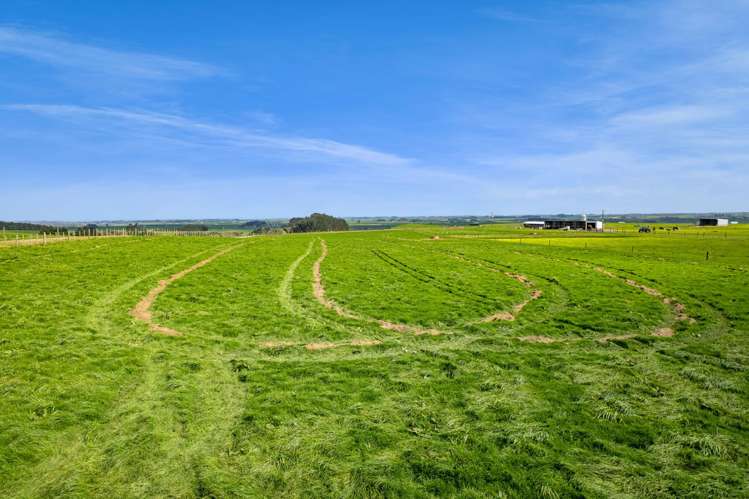 5200B Mountain Road Eltham_9