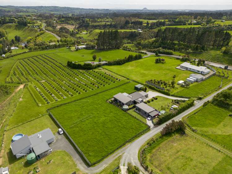 534b Mclaren Falls Road Kaimai_18