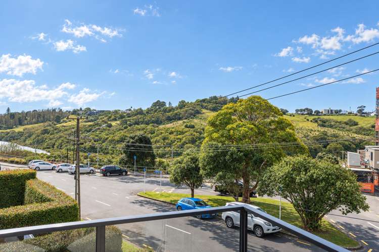 20A Manapau Street Meadowbank_1