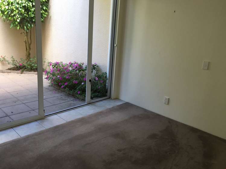 9b Taranaki Road Kohimarama_5