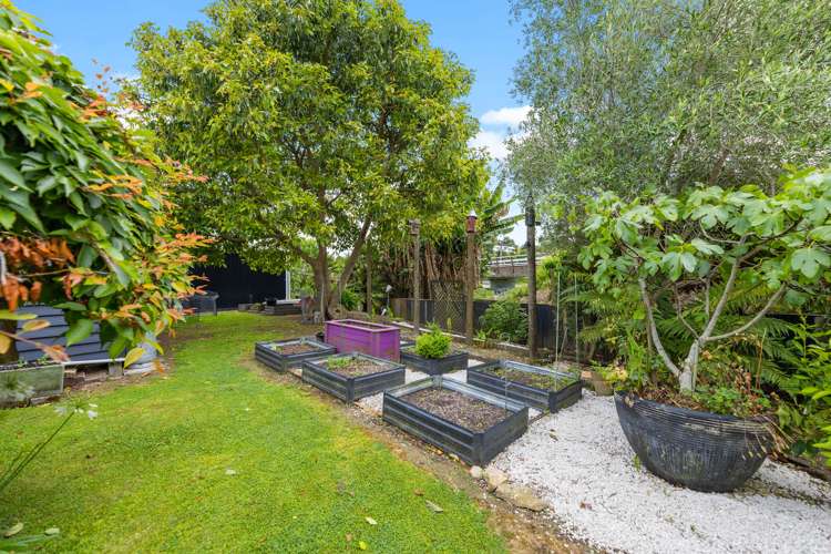 8 Te Kumi Road Te Kuiti_17