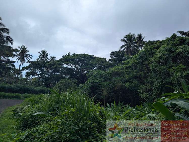 Address withheld Taveuni_13