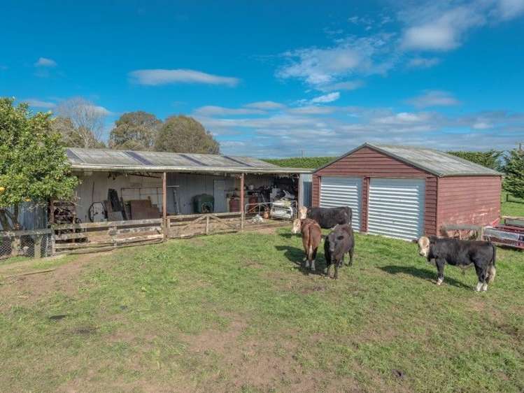 785 Gordonton Road Gordonton_4