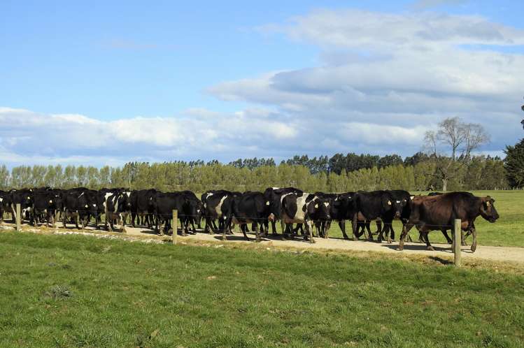 15 Allan North Otautau_4