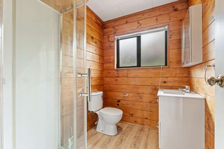 12 Delshaw Avenue Stanmore Bay_13