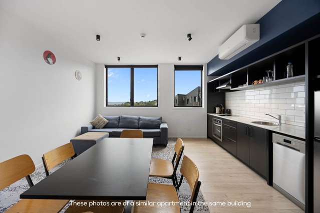 9xUnits 7 Layard Street Avondale_2