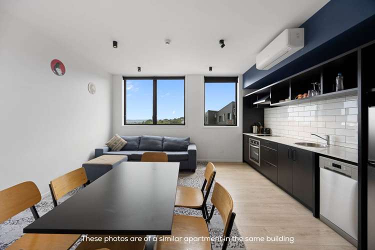 9xUnits 7 Layard Street Avondale_2