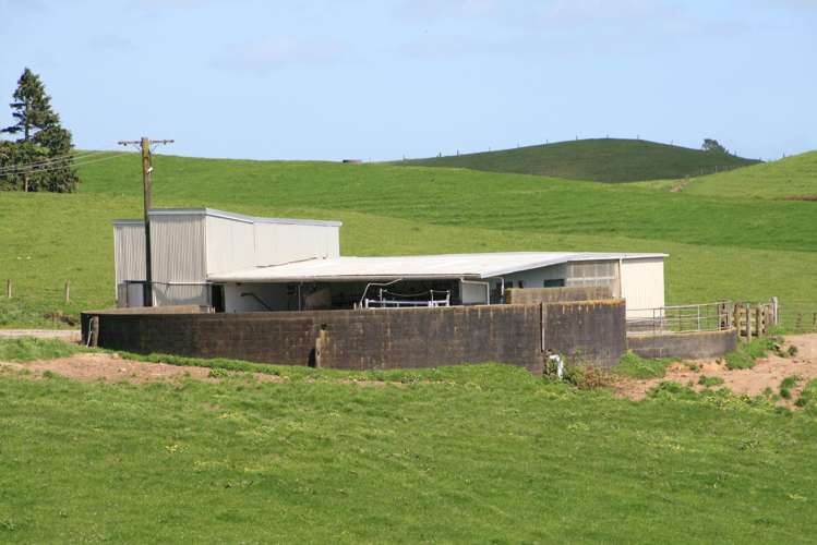 828 Hursthouse Road Inglewood_15